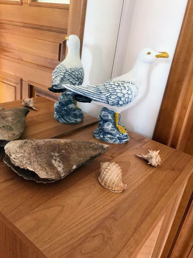 Villa Daisy Tar-Vabriga Eksteriør billede
